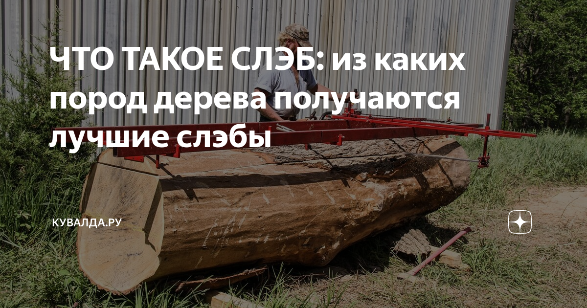 ЧТО ТАКОЕ СЛЭБ: из каких пород дерева получаются лучшие слэбы | Кувалда ...