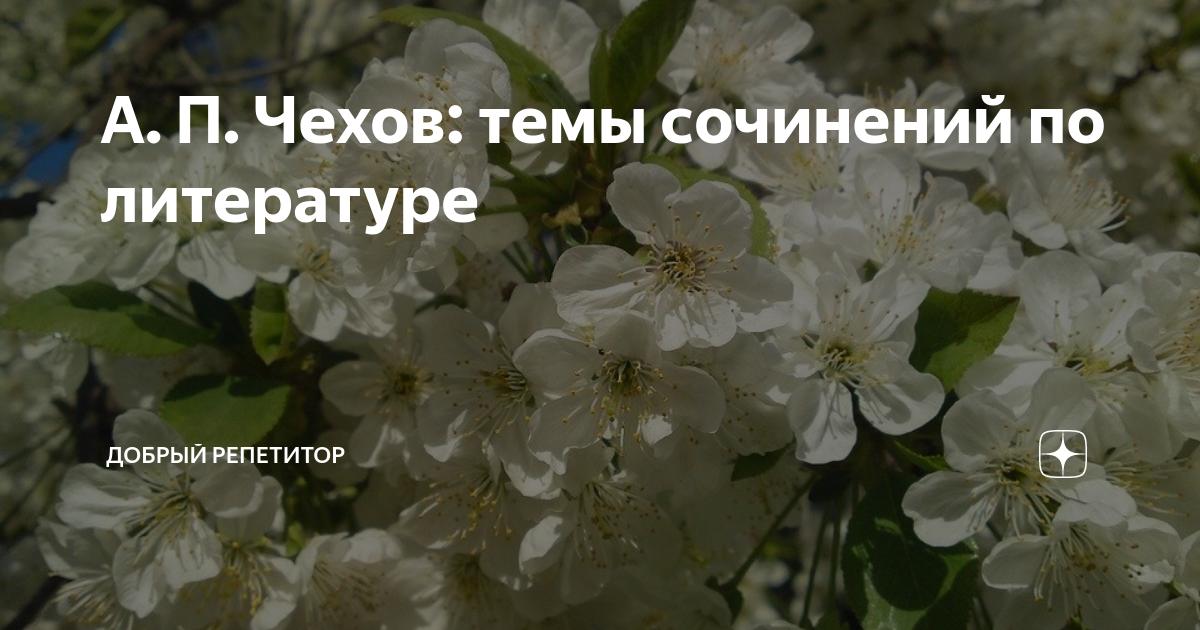А. П. Чехов: темы сочинений по литературе | Добрый Репетитор | Дзен