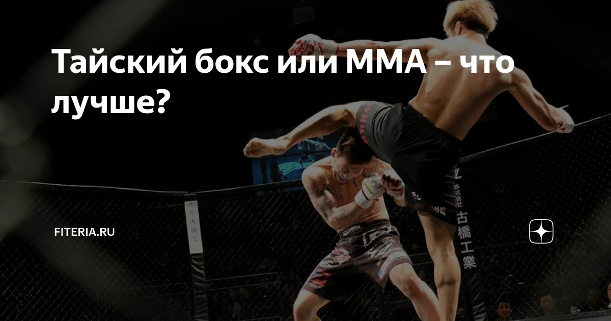 что дает мс по боксу