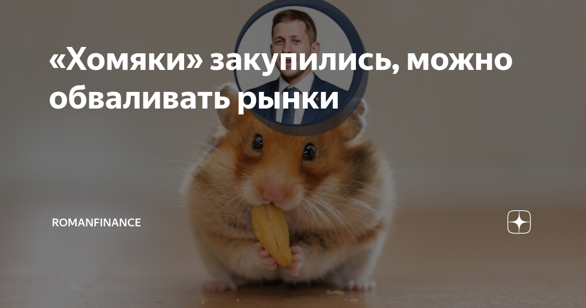 Комбо в хомяке на 25 число. Хомяки на рынке. Хомяк криптовалюта. Хомяк трейдер. Хомяк в инвестициях.