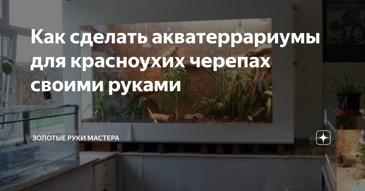 Лучший аквариум для красноухих черепах