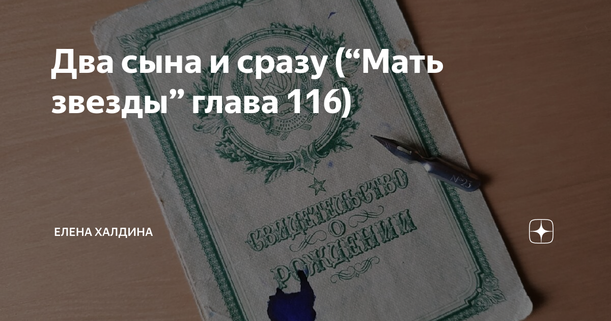 Звездочка моя читать на дзене. Халдина дзен последняя глава читать.