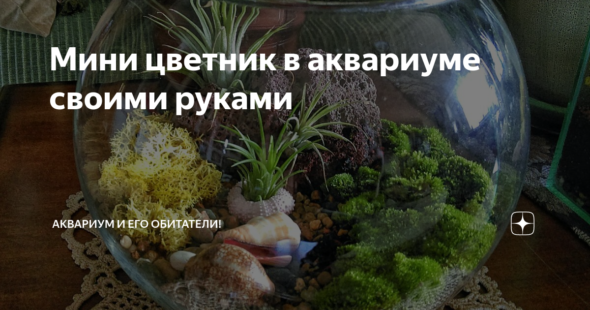 Декор для аквариума своими руками