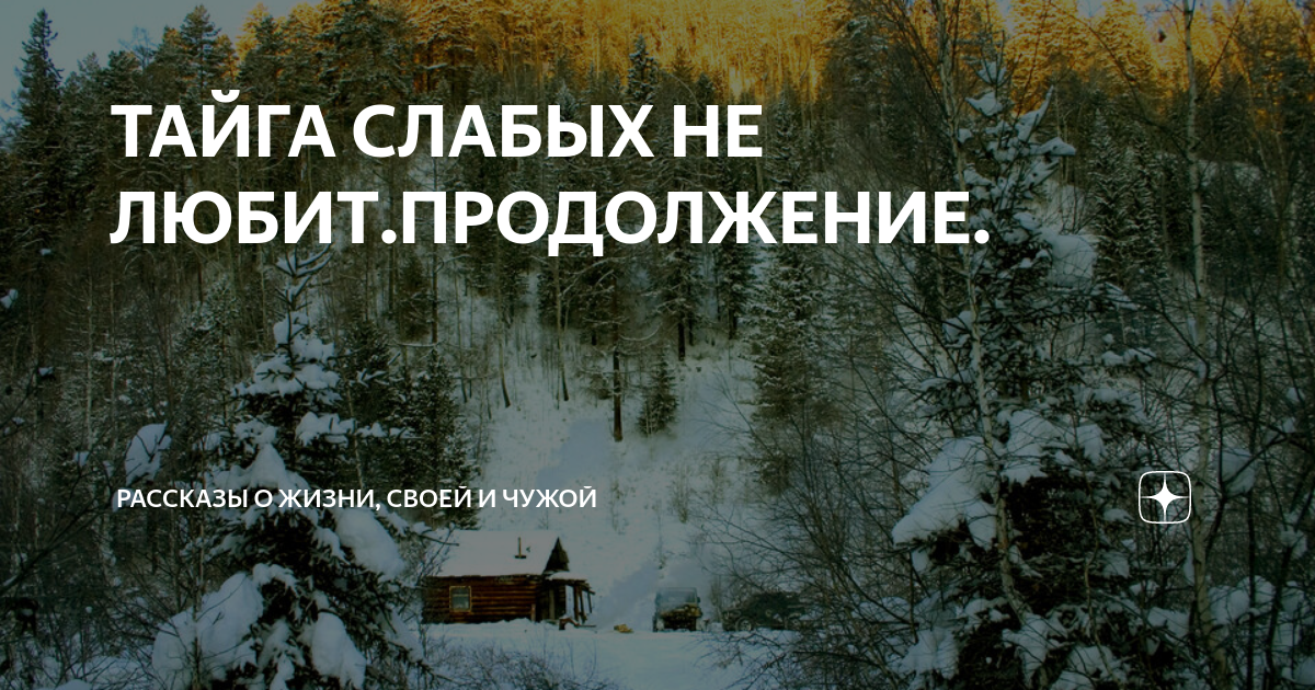 рассказы о жизни в тайге и сибири