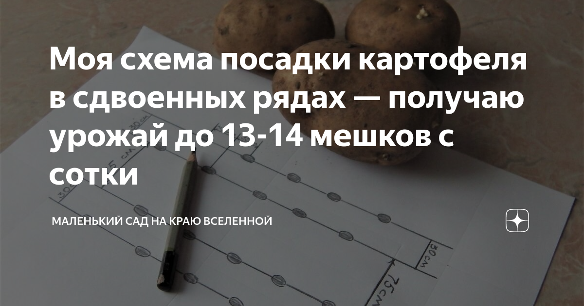 Посадка картофеля сдвоенными рядами схема