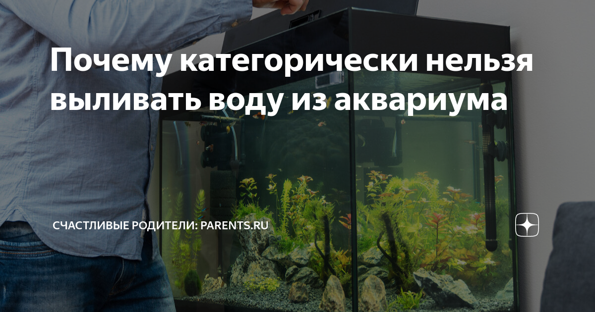 сколько нужно отстаивать воду из крана для аквариума