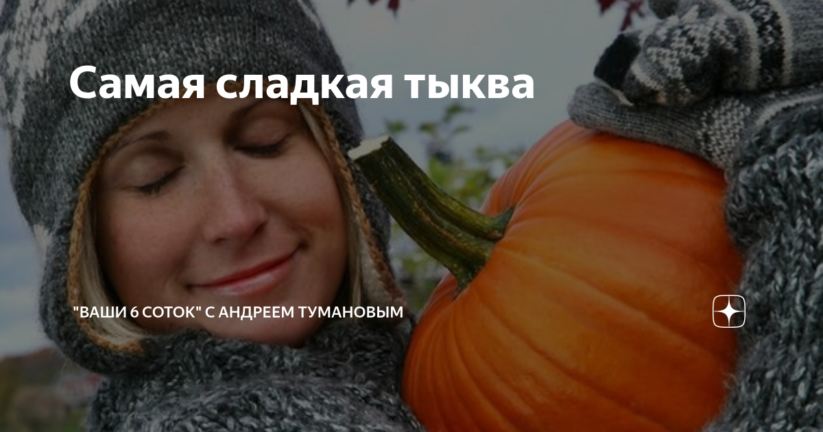 Самая сладкая тыква | "Ваши 6 соток" с Андреем Тумановым | Дзен