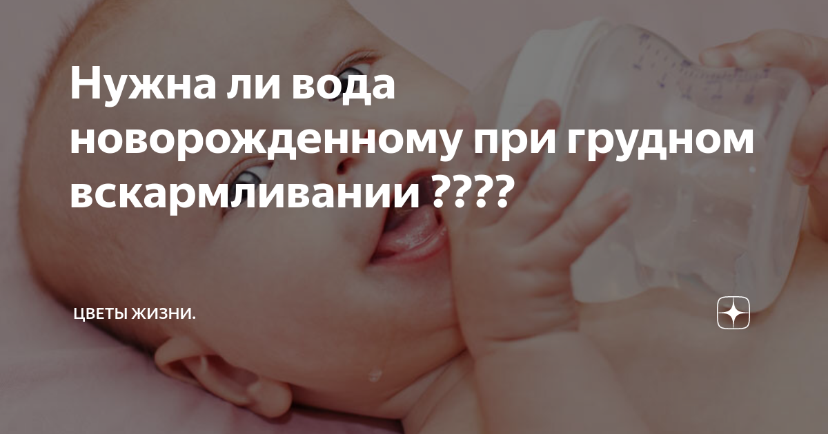вода при грудном вскармливании ребенку нужна ли. когда давать воду новорожденному. вода для младенцев на грудном вскармливании. вода для грудничка на гв. когда давать воду новорожденному при грудном.