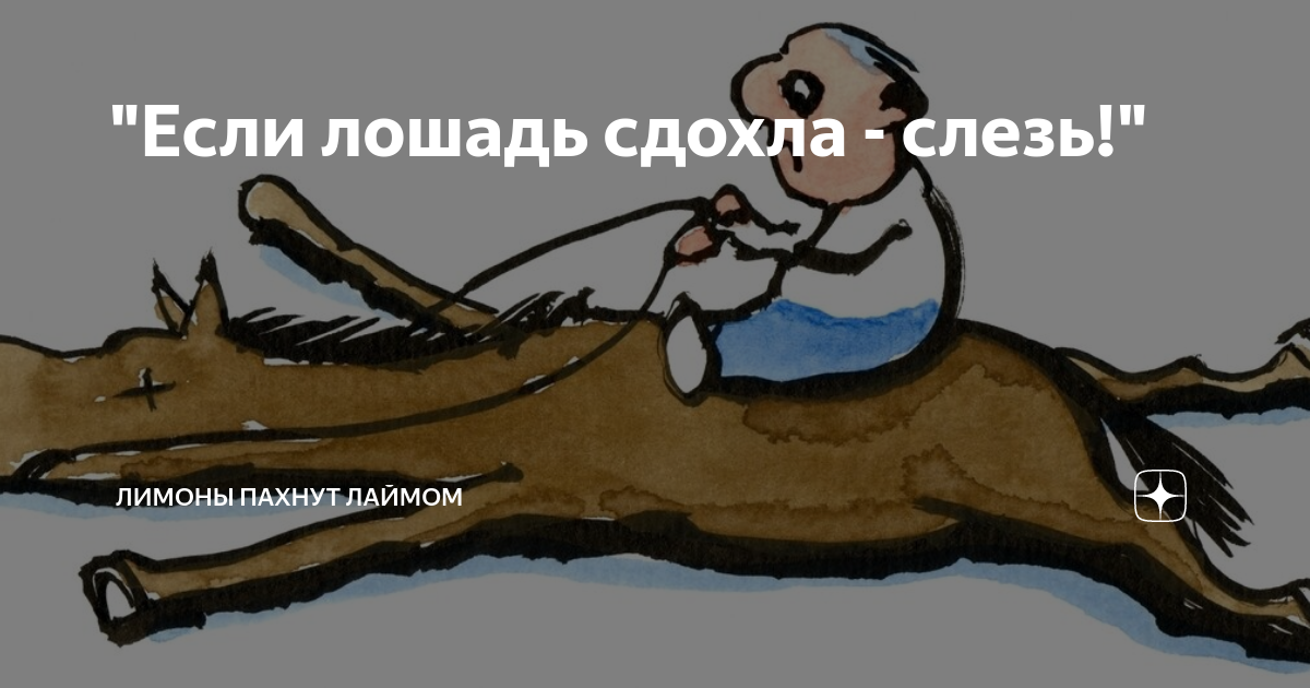Лошадь сдохла картинки