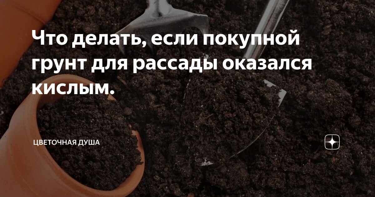 что делать если обжег язык кислым