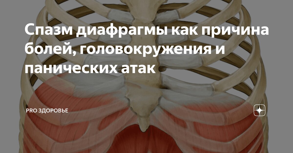 Расслабляем диафрагму - мышцу, влияющую на овал лица и самочувствие Лицо