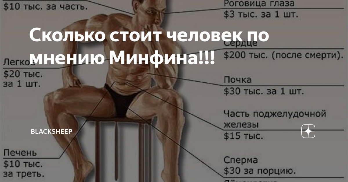 Можно ли продать человека. Сколько стоят органы. Сколько стоят органы человека. Сколько стоит человек. Расценки на человеческие органы.