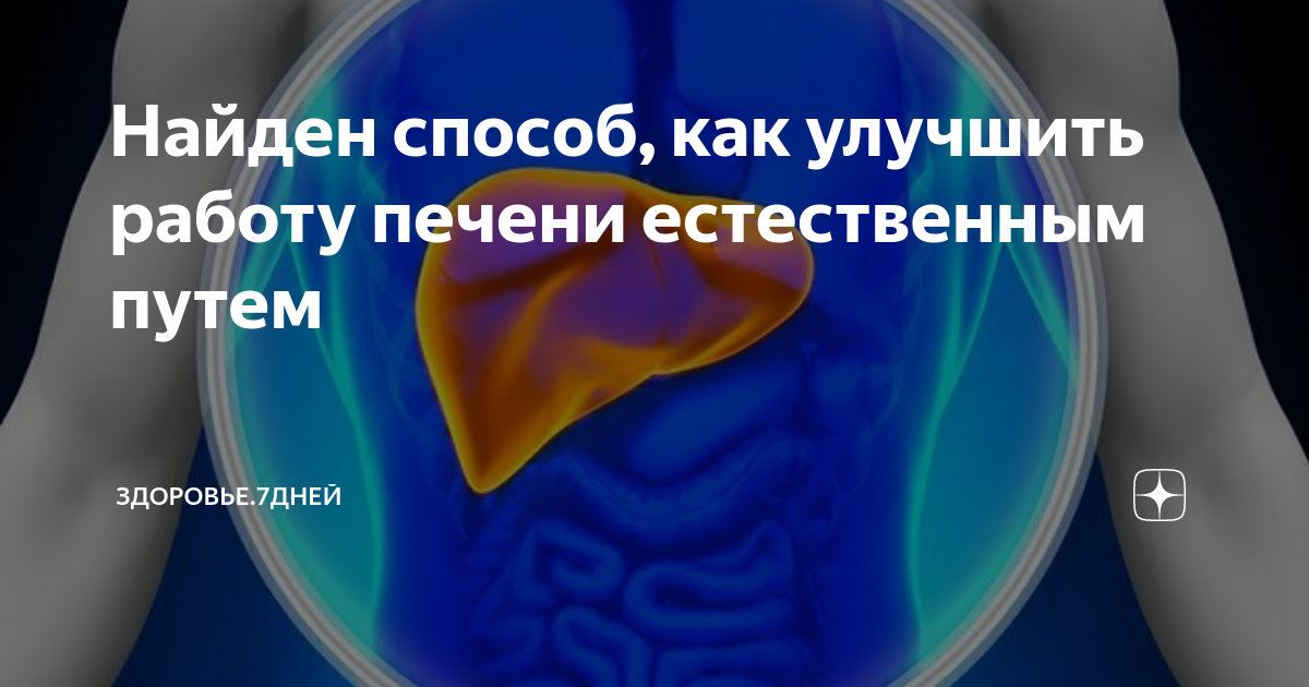 Продукты для восстановления печени. №30. Улучшение работы печени. Как улучшить печень. Улучшение работы печени.