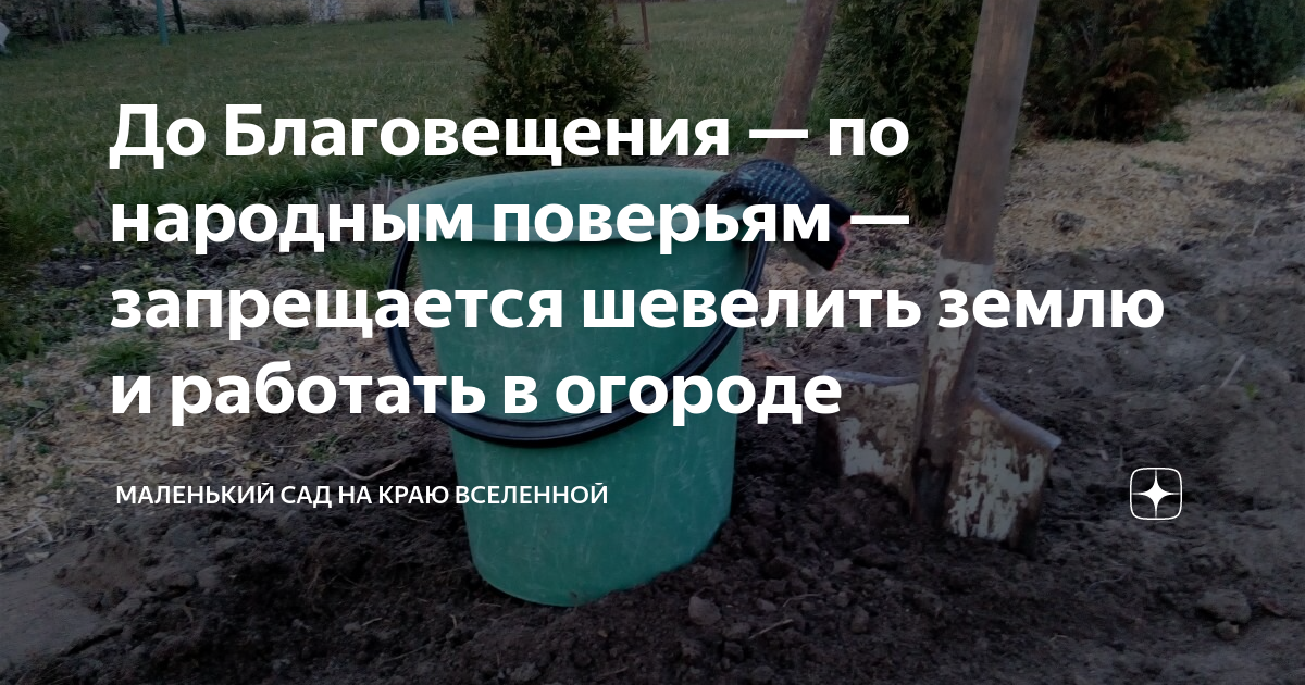 Корень выдернутый из земли. Копать землю. Можно ли до благовещения копать землю. Можно ли до благовещения копать землю. Лопата для копки огорода.