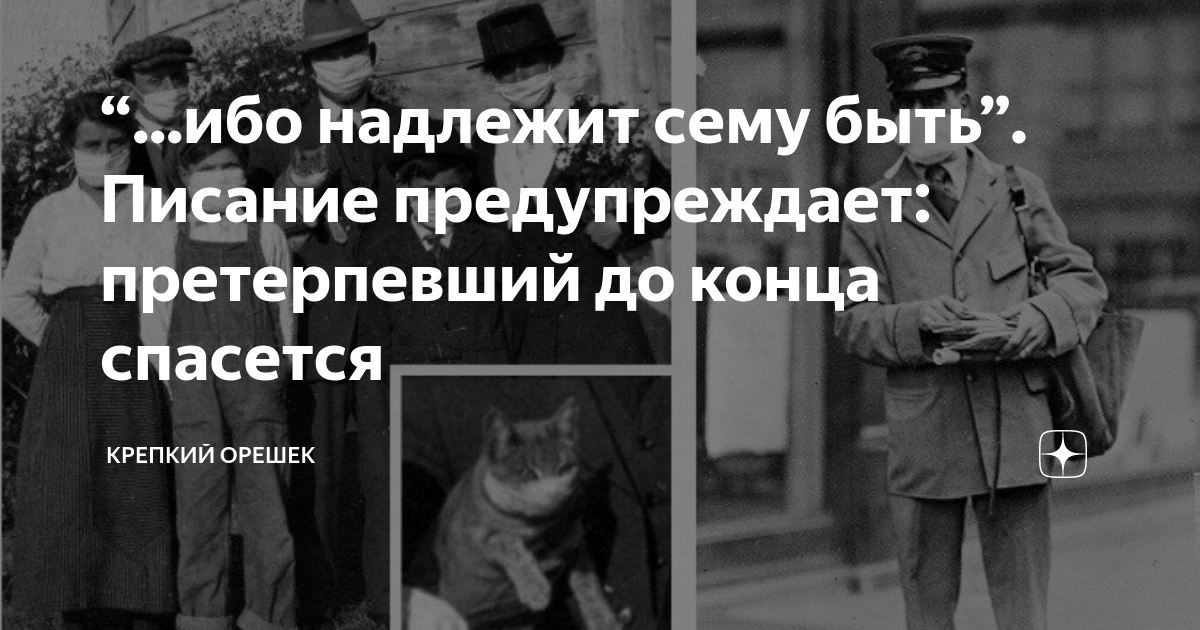 ибо восстанет народ на народ. когда услышите о войнах и военных слухах. един бог и един посредник между богом и людьми человек иисус. также услышите о войнах и о военных слухах смотрите не ужасайтесь ибо. надлежит сему быть.