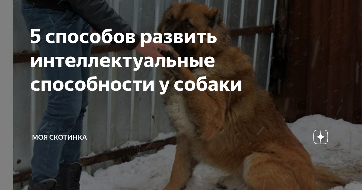 Знакомство с основными командами