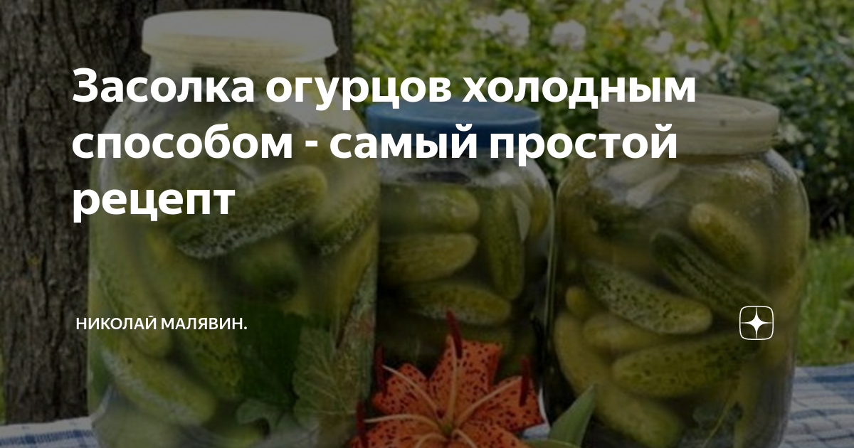 Морская соль для засолки огурцов. Самый простой рецепт засолки огурцов холодным способом. Трава для засолки огурцов. Рецепт бочковых огурцов холодным способом. Как засолить огурцы с молочной кислотой.