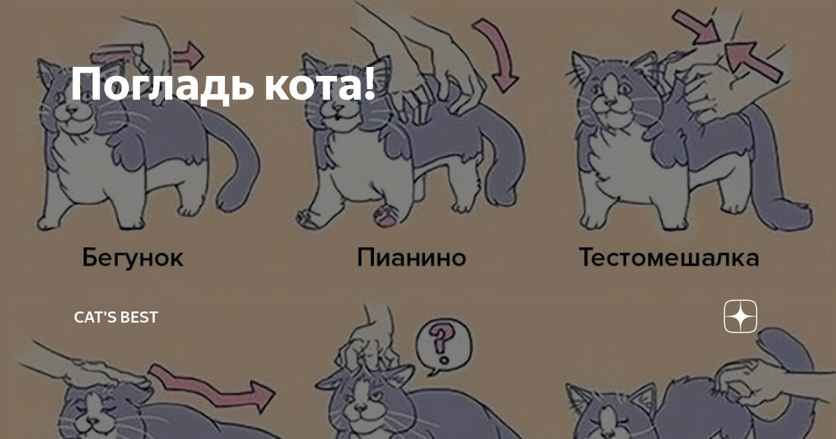 Мем гладить. Мем гладить