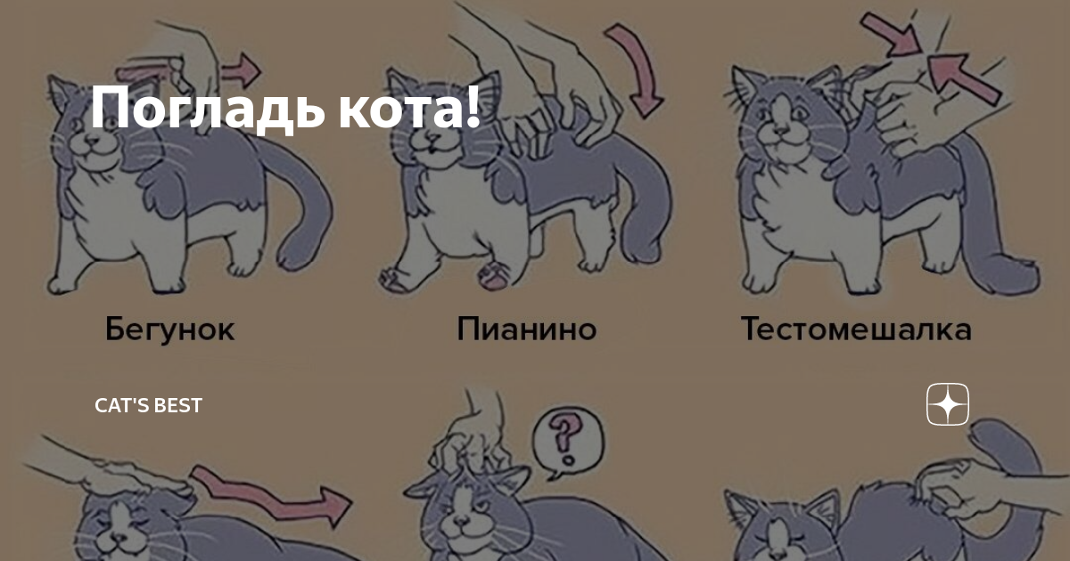 Погладь кота стихотворение