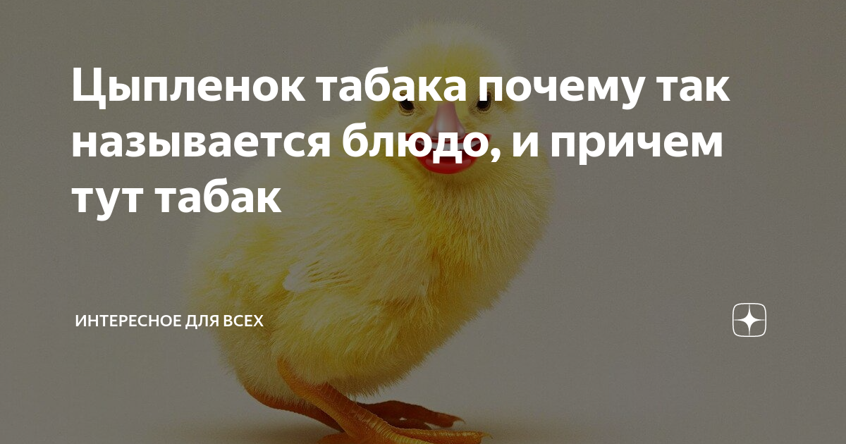 Кличка цыпленка. Взросление цыплят. Почему цыплята рождаются желтыми. Какие бывают цыплята. Три цыпленка.