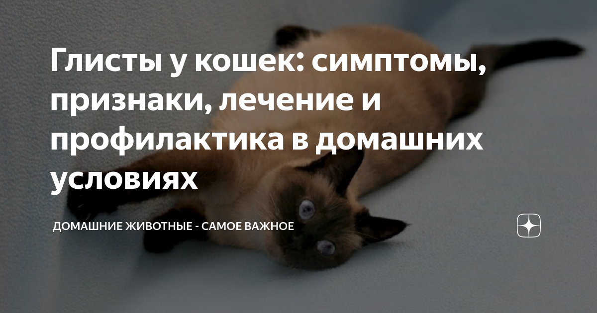 Глисты у ребёнка: причины, симптомы, диагностика и лечение гельминтов у детей