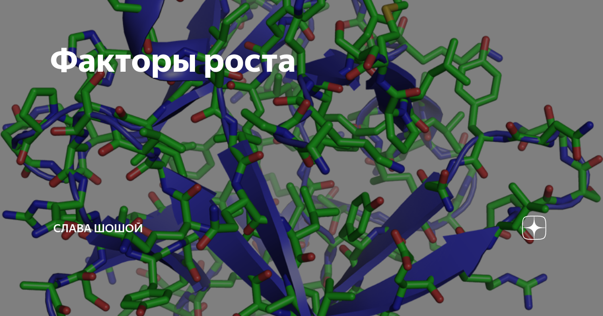 Сайт фактор роста. HGF фактор роста гепатоцитов. Факторы роста клеток. Белковые молекулы фактор роста. Факторы роста фото.