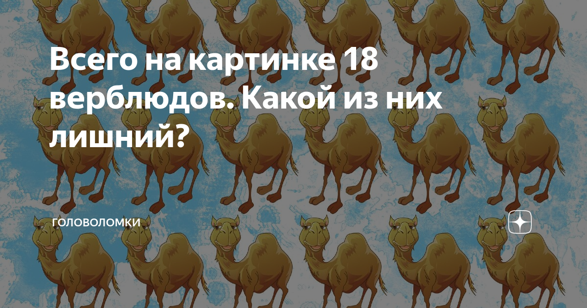 Верблюд найти на картинке среди животных