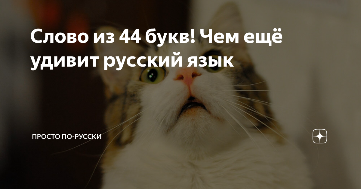анекдоты про русский язык. язык демотиватор. это прачечная анекдот. цитаты про русский язык смешные. инфографика русский язык.