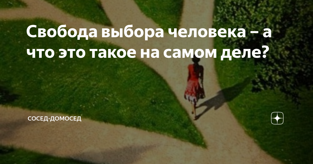 Свобода выбора человека – а что это такое на самом деле? | Сосед ...
