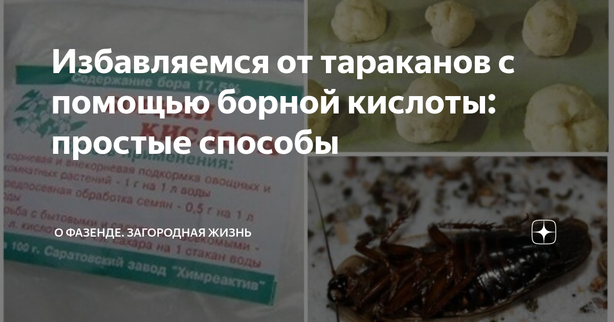 как уничтожить тараканов с помощью борной кислоты