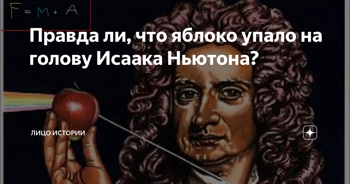 Правда ли, что яблоко упало на голову Исаака Ньютона? | Лицо истории | Дзен