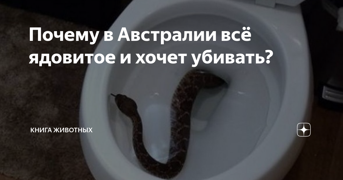 почему в австралии живут мало людей