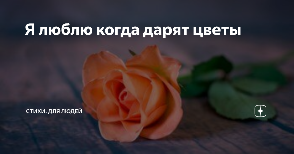 Красивые поздравления с Днем розы в стихах ~ прекрасные стихи про розу