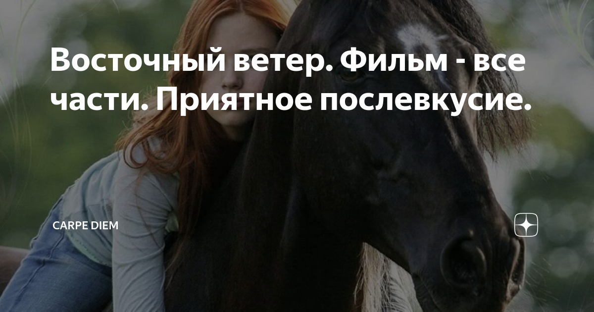 Восточный ветер. Фильм - все части. Приятное послевкусие. | Carpe diem ...