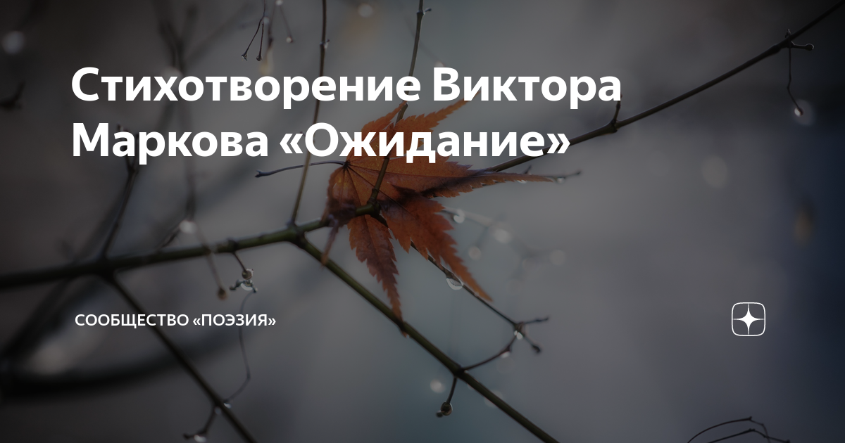 Читать онлайн «Ожидание чуда. Избранные стихотворения», Эльдар Ахадов – Литрес