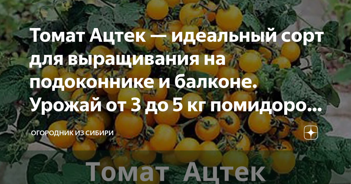 Вкусовые качества и использование