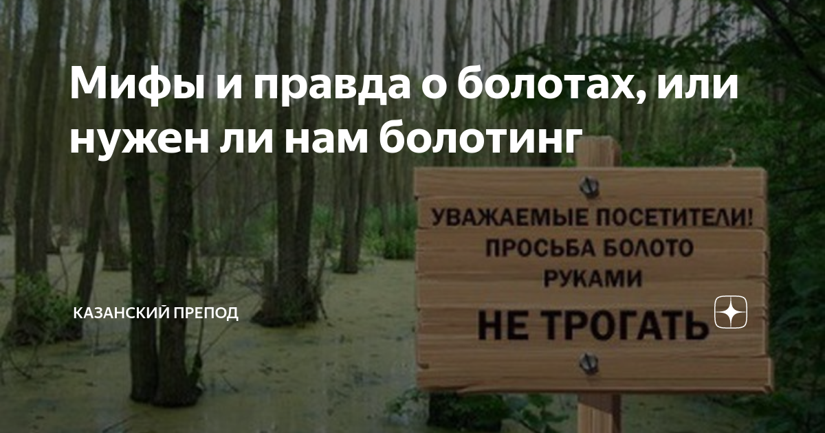 Мифы и правда о болотах, или нужен ли нам болотинг | Казанский препод ...