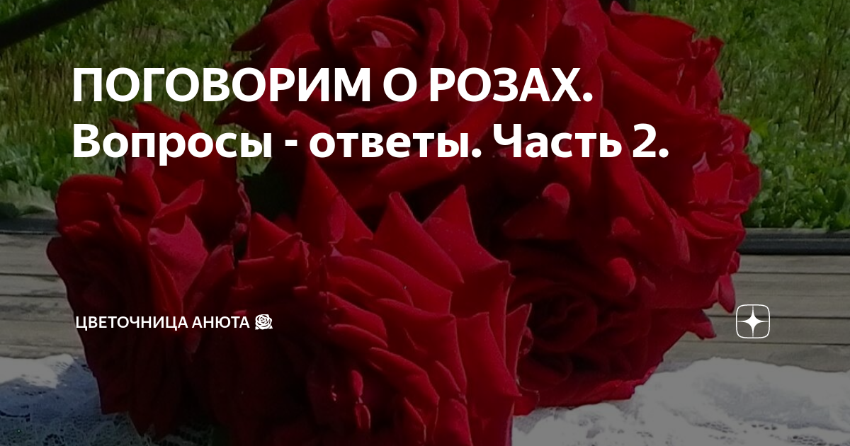 Цветочница анюта последние публикации. Цветочница Анюта дзен. Цветочница Анюта. Цветочница Анюта розы все статьи. Шпаргалка цветочница Анюта