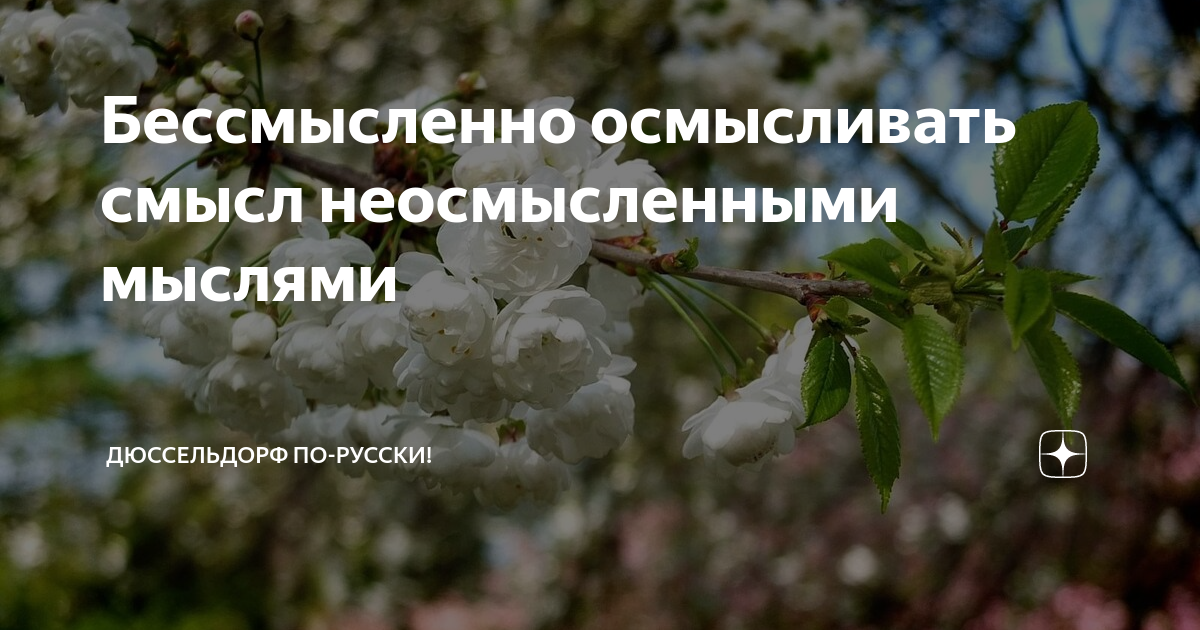 бессмысленно осмысливать. бесполезно осмысливать смысл неосмысленными мыслями. бесполезно осмысливать смысл неосмысленными мыслями. бессмысленно осмысливать смысл неосмысленными мыслями. бессмысленно осмысливать смысл.