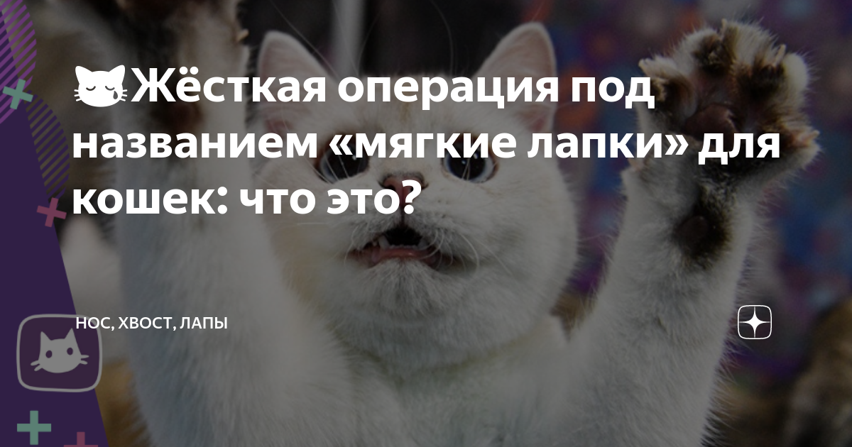 Александр ЛЕОНИДОВ. КЛЮЧ ОТ НИЧЕГО. Роман-фантасмагория. Финал - Газета День Литературы