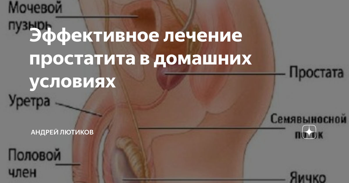 Простатит - признаки, симптомы, диагностика и лечение болезни