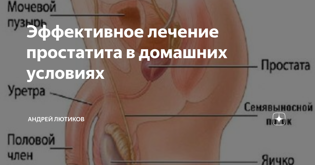 Хронический простатит и нарушенное семяизвержение: есть ли связь?