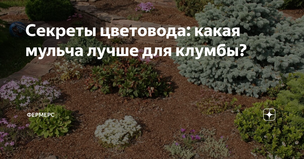 Секреты цветовода: какая мульча лучше для клумбы? | Фермерс | Дзен