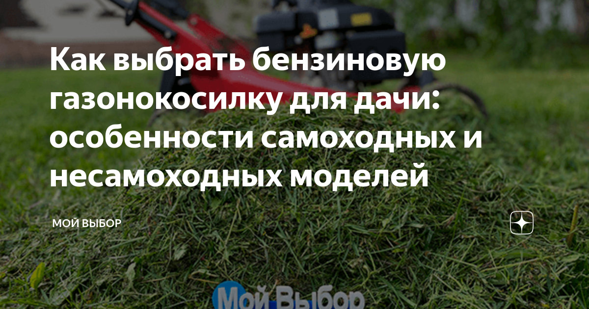 Как выбрать бензиновую газонокосилку для дачи: особенности самоходных и ...