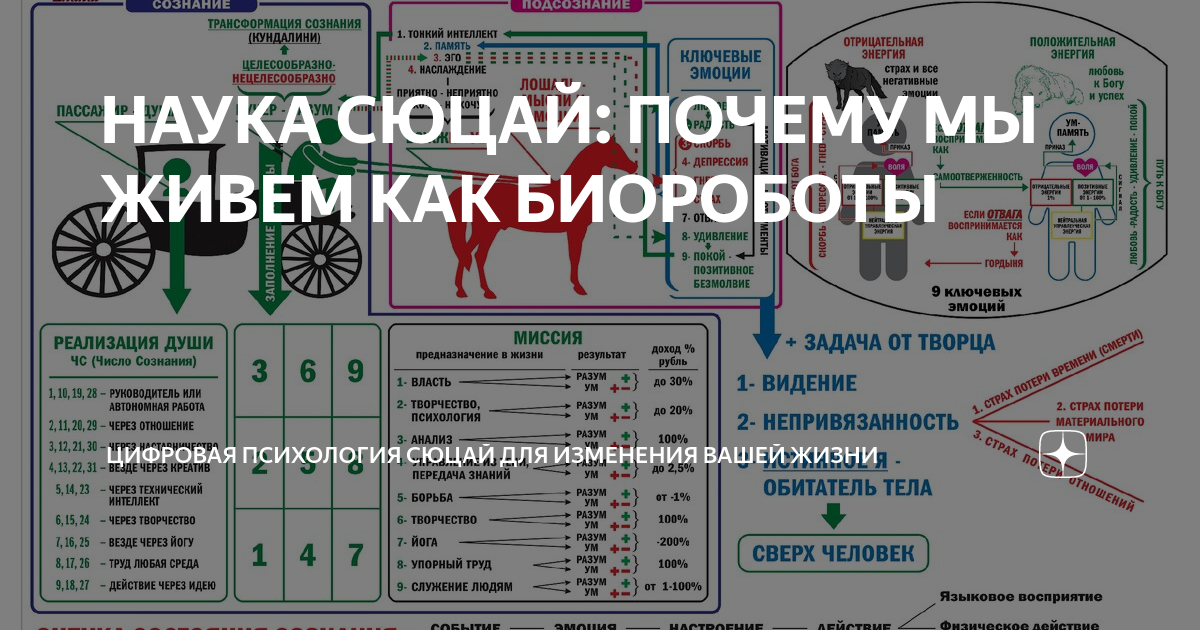 Сюцай 7. Плакаты Сюцай. Наука Сюцай по дате. Цифровая психология Сюцай. Реализация человека в жизни Сюцай.