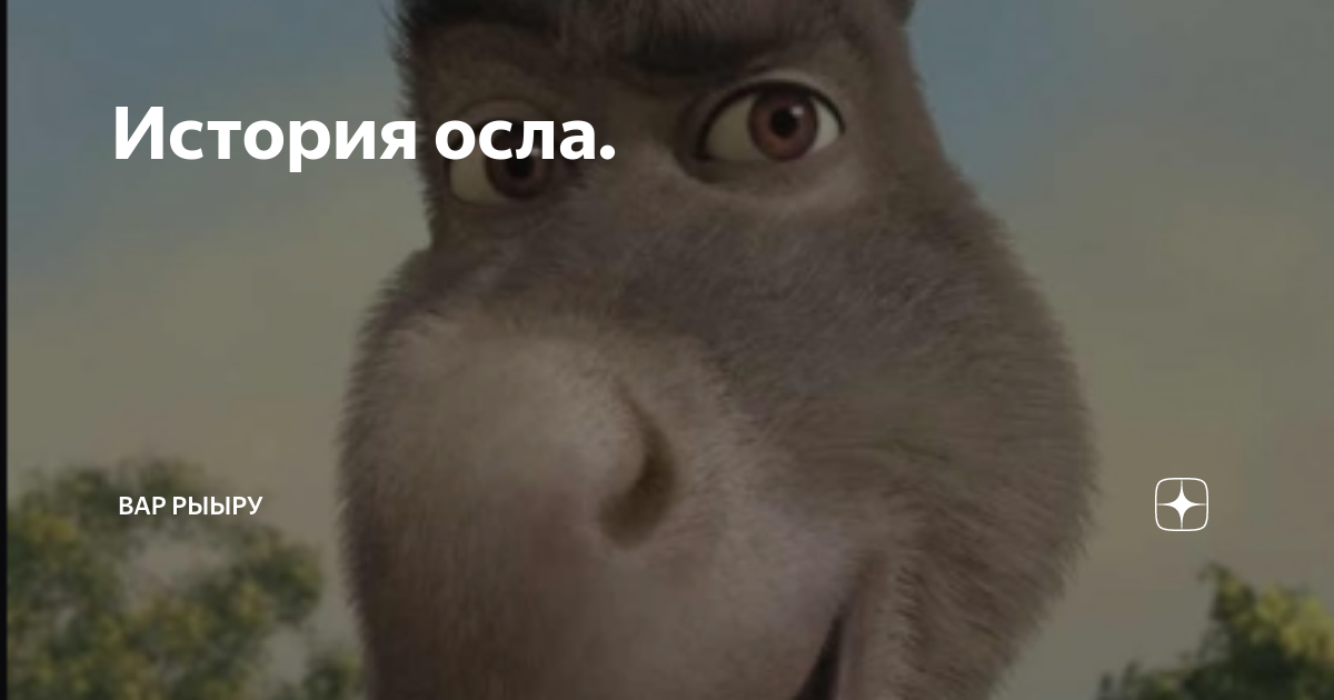 Упрямый осел. Человек на осле. Рассказ с ишаками. Что означает выражение буриданов осел. Осел.