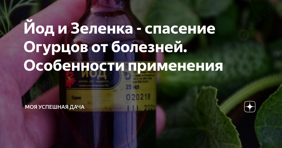 Зеленка для огурцов в теплице опрыскивание