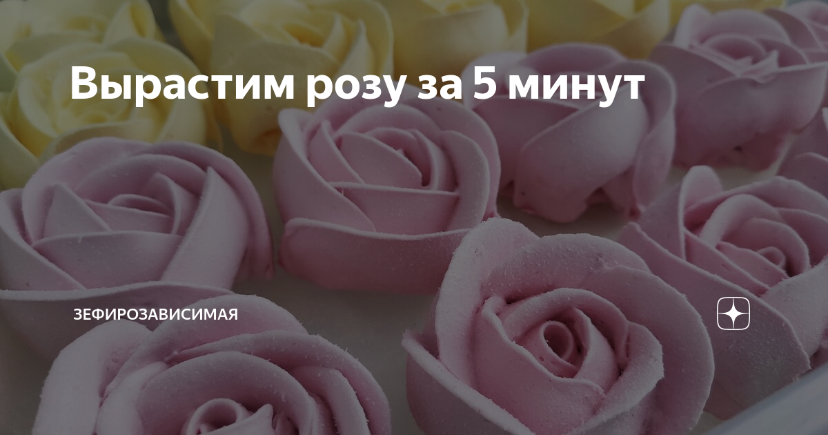 Розе минуты. Розы за 5 минут. Мы сделали розочку в поддержку Японии.