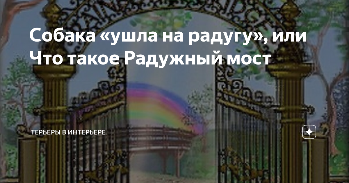 😿Почему говорят, что кот «ушел на радугу» или «за радугу»