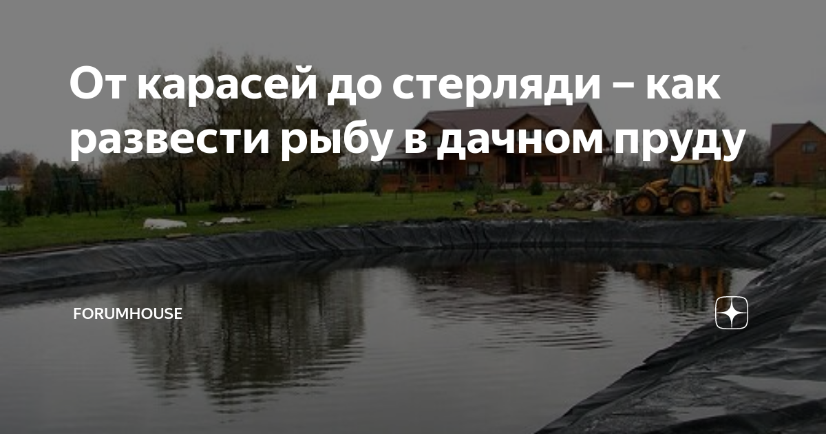 От карасей до стерляди – как развести рыбу в дачном пруду | FORUMHOUSE ...